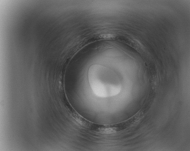 X0000063470553200602031902