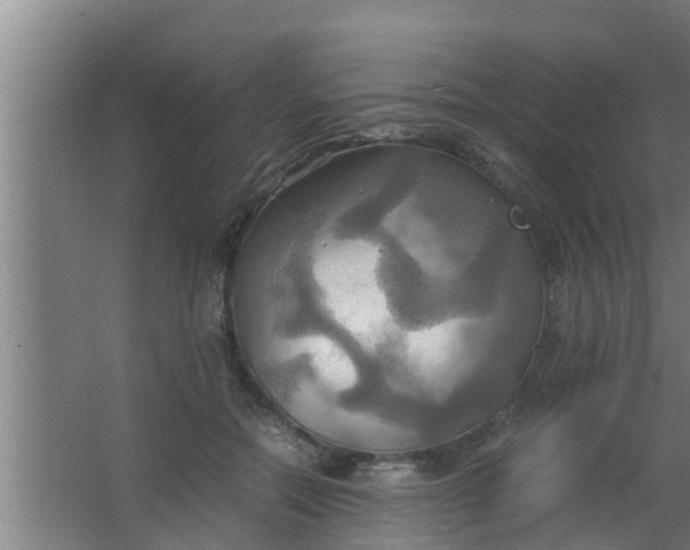 X0000063470554200602031902