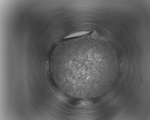 X0000063470555200602031902