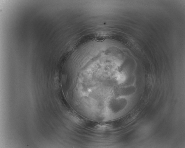 X0000063470557200602031902