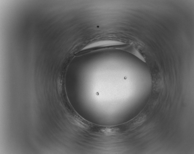 X0000063470558200602031902