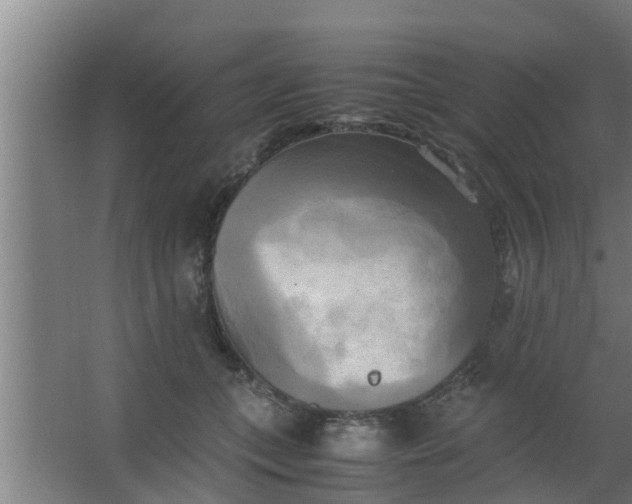 X0000063470559200602031902