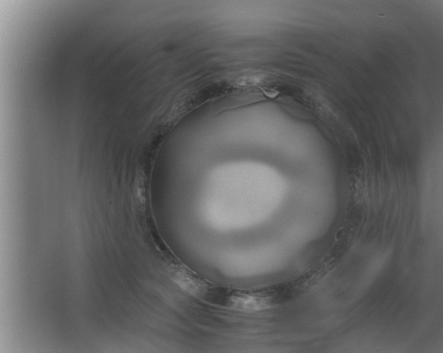 X0000063470561200602031902