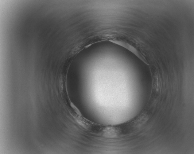 X0000063470562200602031903