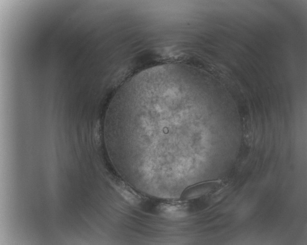 X0000063470563200602031903