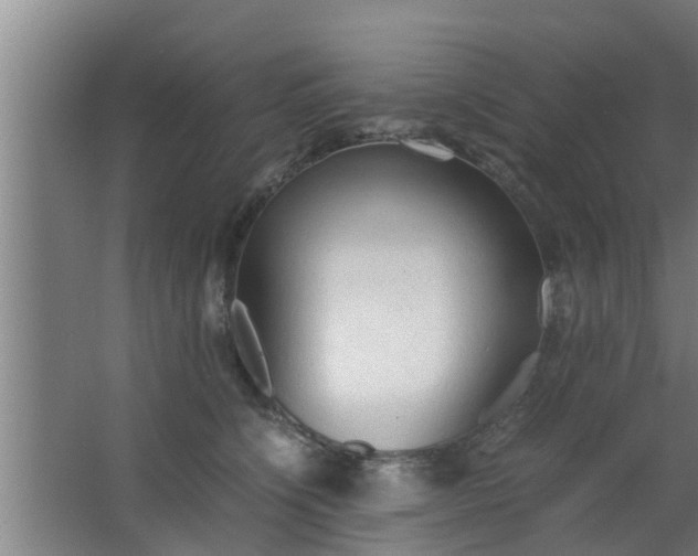 X0000063470564200602031903