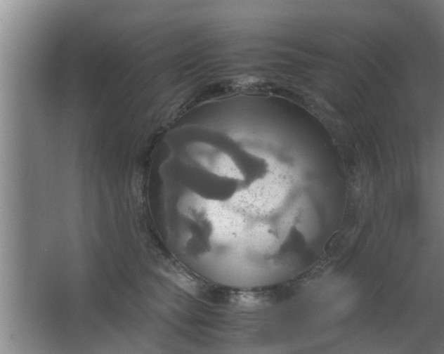 X0000063470565200602031903