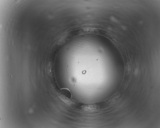 X0000063470567200602031903