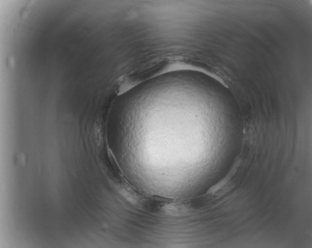 X0000063470568200602031903