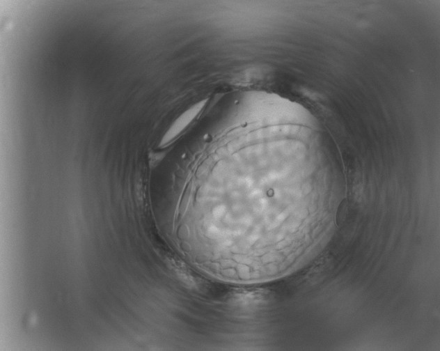 X0000063470569200602031903