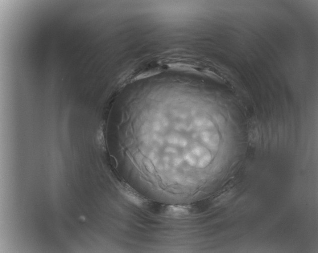 X0000063470573200602031903