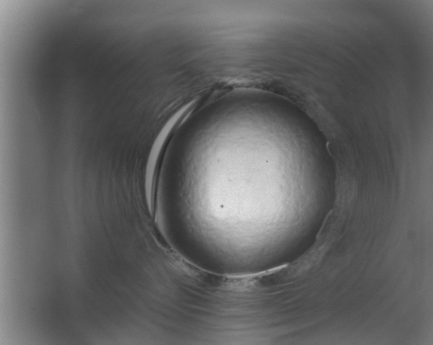 X0000063470576200602031903