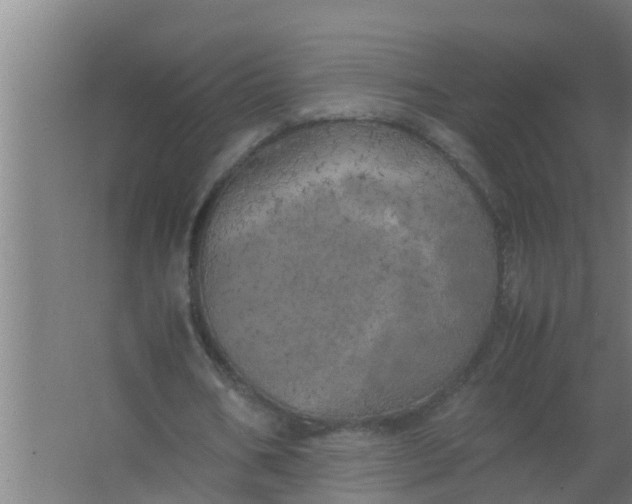 X0000063470578200602031902