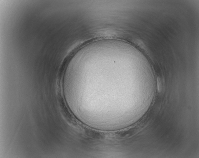 X0000063470579200602031902