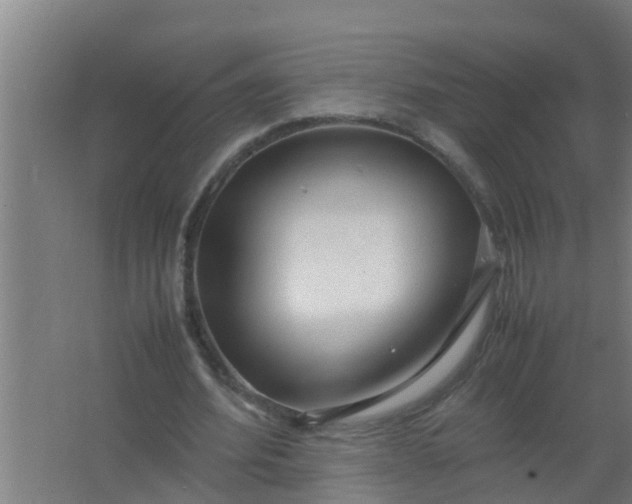 X0000063470580200602031902