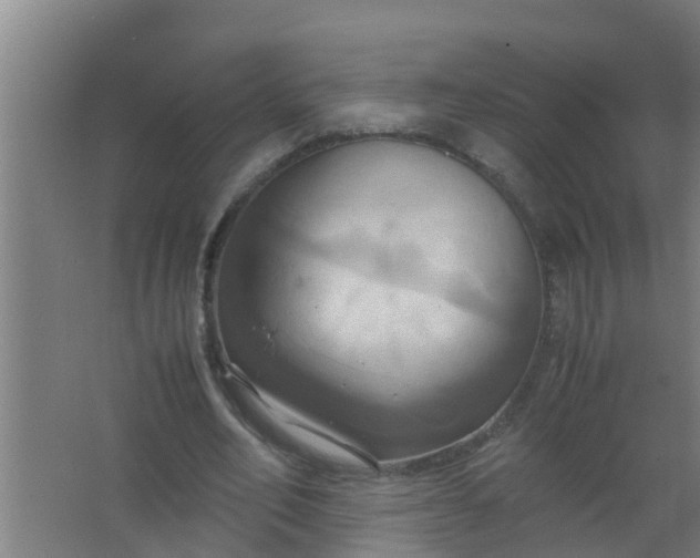 X0000063470582200602031902