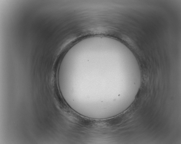 X0000063470583200602031902