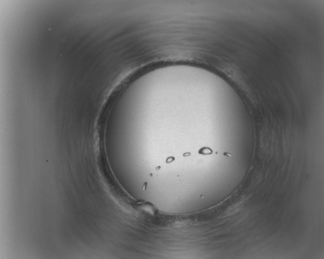 X0000063470584200602031902