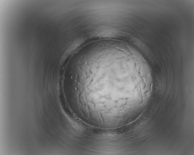 X0000063470586200602031902