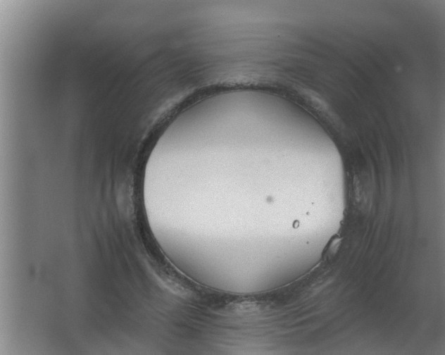 X0000063470588200602031902