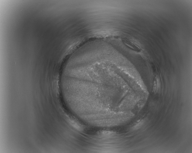 X0000063470590200602031902