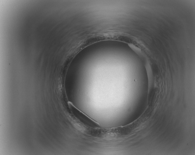 X0000063470593200602031902