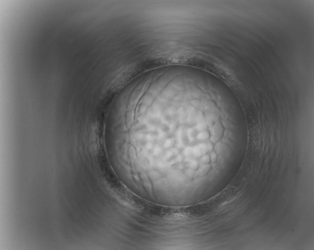 X0000063470594200602031902