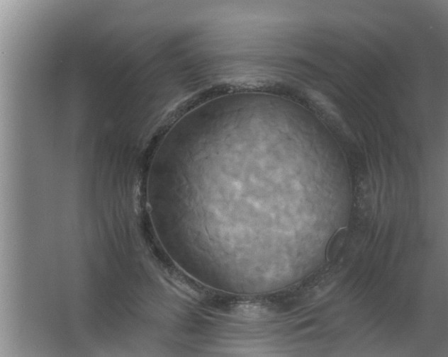 X0000063470596200602031902