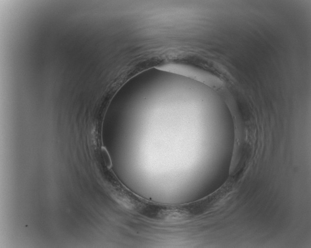 X0000063470597200602031902