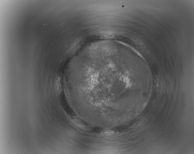 X0000063470598200602031902