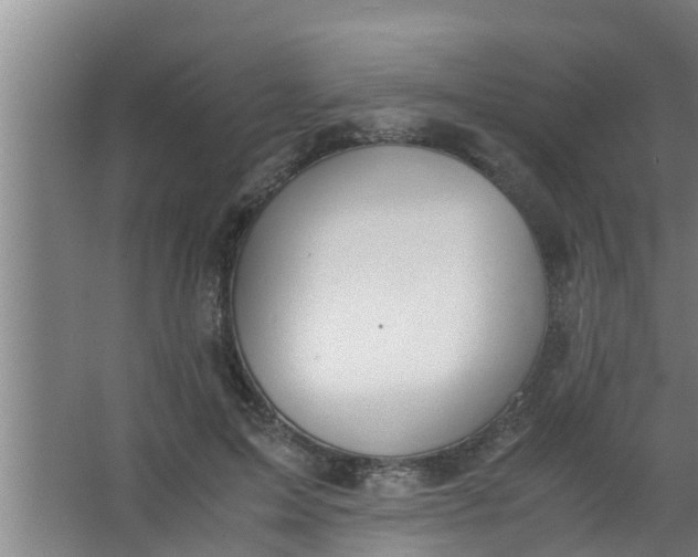 X0000063470599200602031902