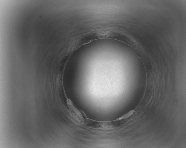 X0000063470601200602031902