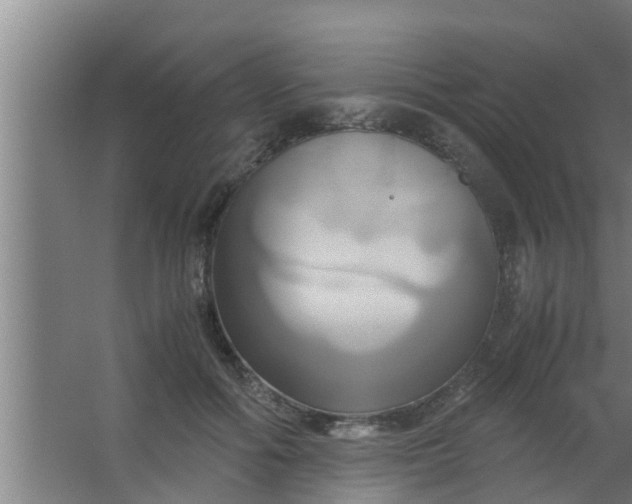 X0000063470602200602031901