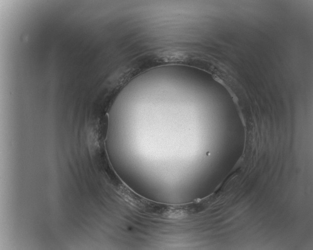 X0000063470604200602031901