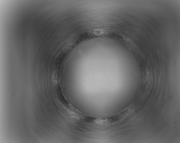 X0000063470606200602031901