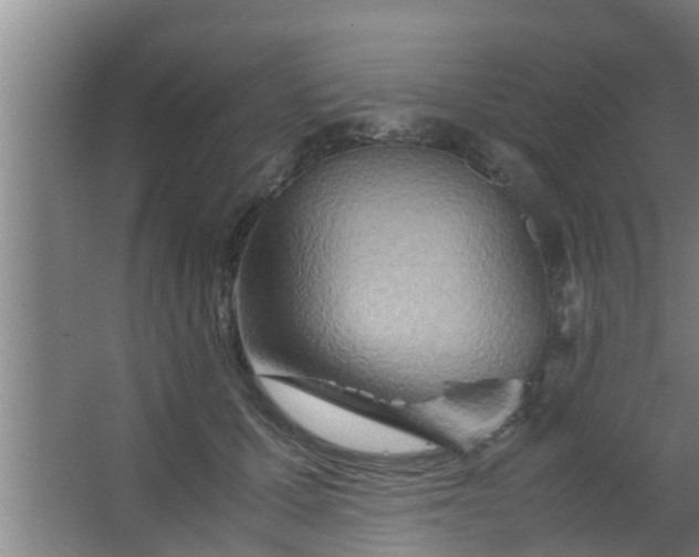 X0000063470607200602031901