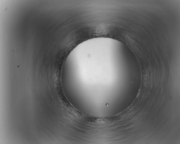 X0000063470608200602031901