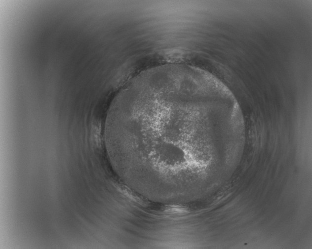 X0000063470610200602031901