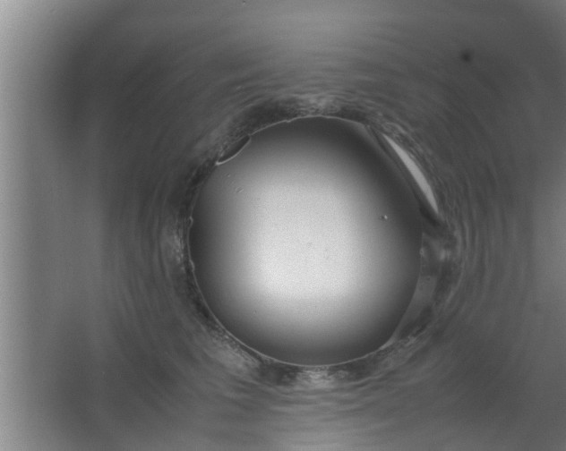 X0000063470613200602031901