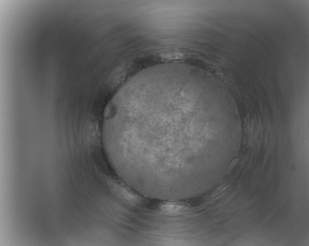 X0000063470614200602031901