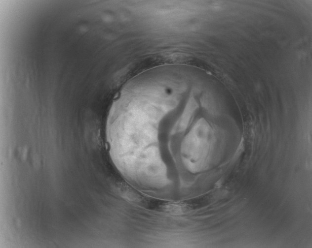 X0000063470615200602031901