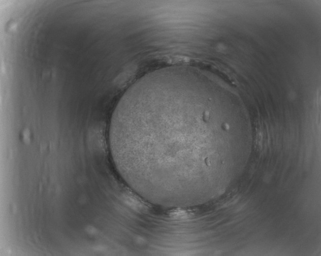 X0000063470616200602031901