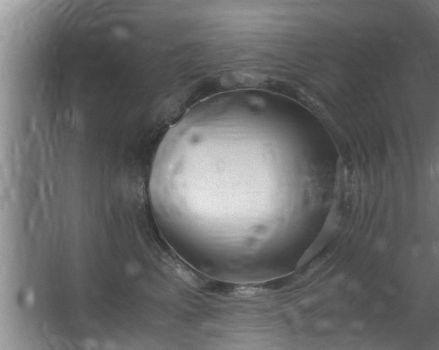 X0000063470617200602031901