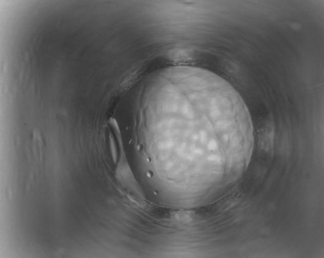 X0000063470618200602031901