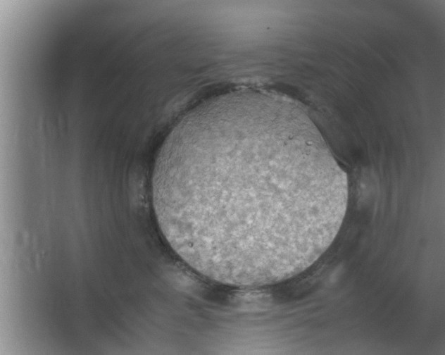 X0000063470619200602031901