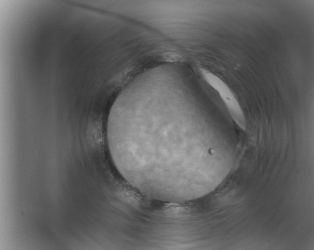 X0000063470620200602031901