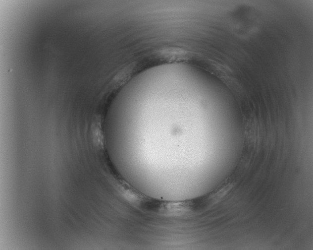 X0000063470622200602031901