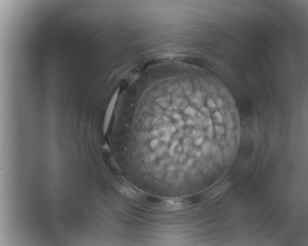 X0000063470623200602031901