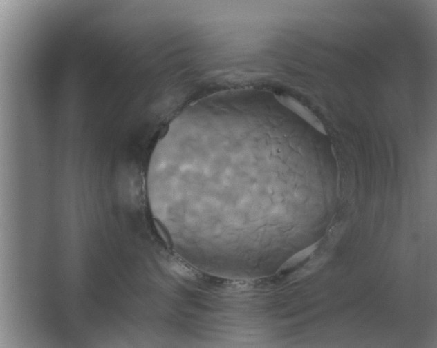 X0000063470624200602031901