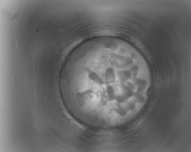 X0000063470625200602031900